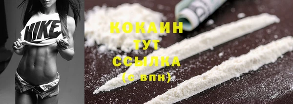 мескалин Заводоуковск