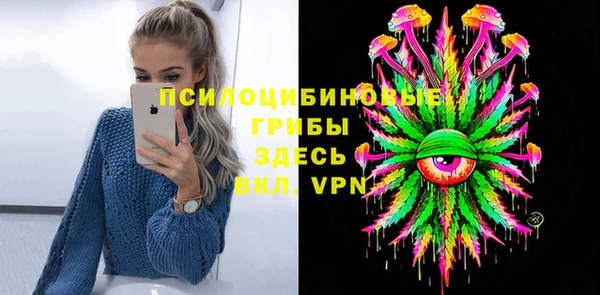 мескалин Заводоуковск