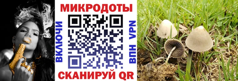Купить  Плавск  Псилоцибиновые грибы прущие грибы 